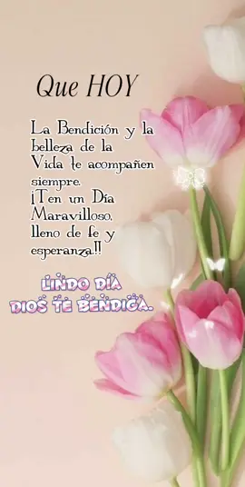 Lindo Día.✨ #buenosdias #lindodia #diostebendiga 