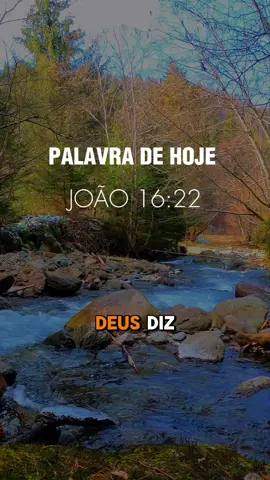 BOM DIA JESUS TE AMO ❤️ #CapCut #reflexaododia #fé #determinaçao #sabedoria 