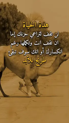 هذة الحياة 👌✋ #عبارات #امير #اكسبلورexplore 