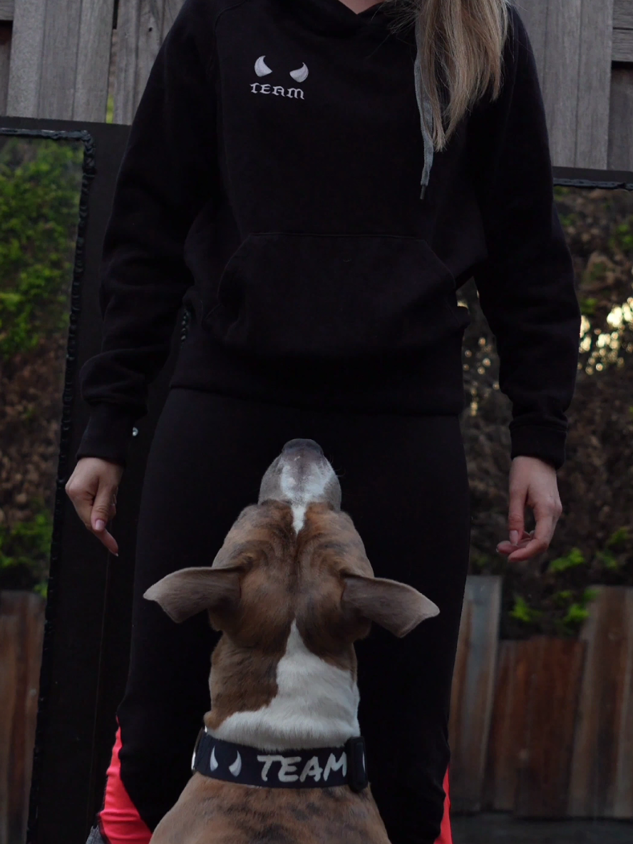 team 😈🖤 watch the end clip for the matching hoodie and collar ✌️ #DogTraining #obedience #hondentraining #dogs #gehoorzaamheid #hond 