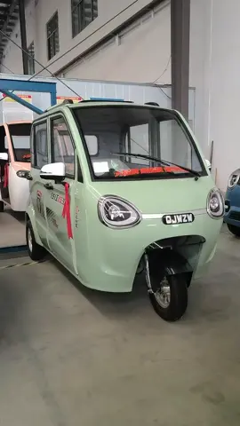 immersive experience #tuktuk #electrictuktuk #cargo #electrictricyclecargo #electrictricycle #chinatricycle #fyp 
