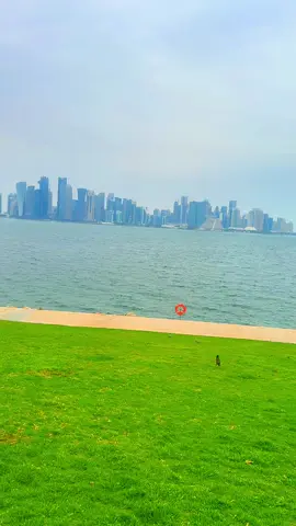 Qatar View 🇶🇦