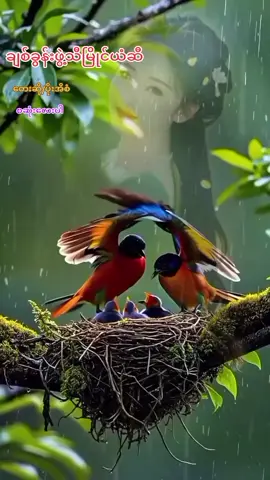 #မြန်မာသံစဉ်ချစ်မြတ်နိုးသူ♥️🧡💙 #💜💜💜💜💜💜💜💜💜 #