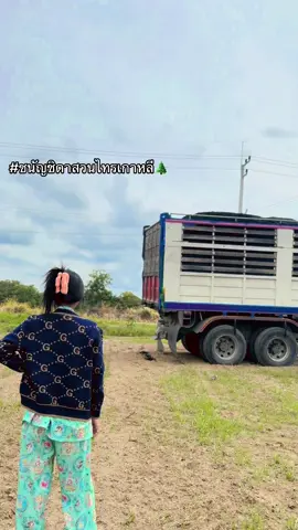 #fypシ゚ #ชนัญชิดาสวนไทรเกาหลี 