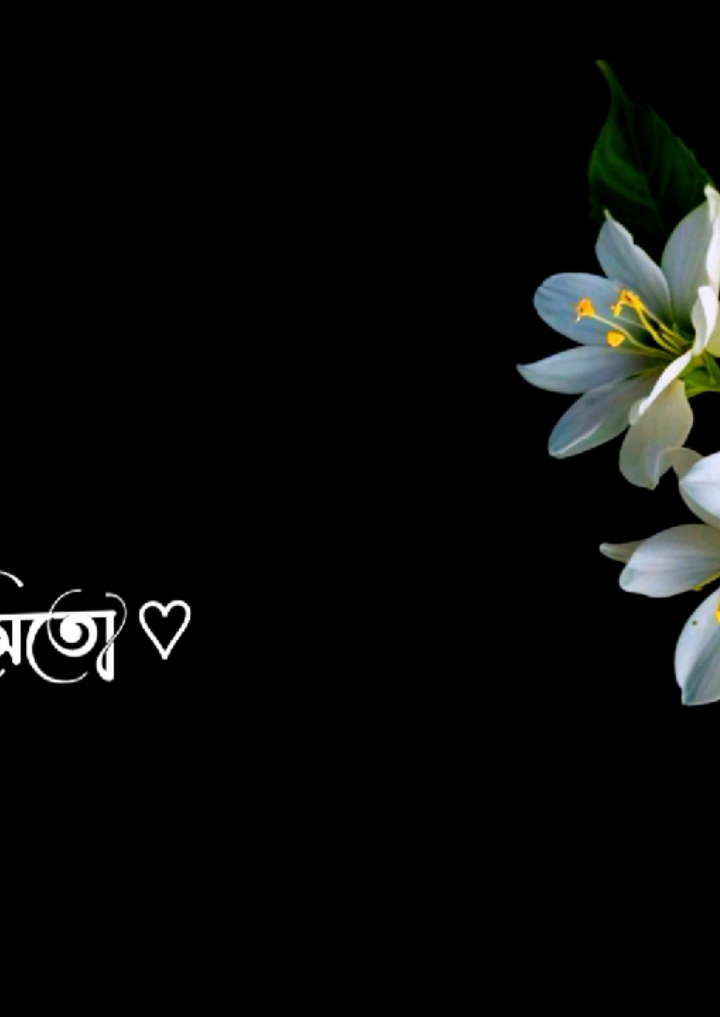 নিভু নিভু প্রেমে আমার..!😍 #lovesong #lovestory #foruyou #foryoupage #vairal #vairalvideo #bdtiktokofficial #unfreezemyacount 