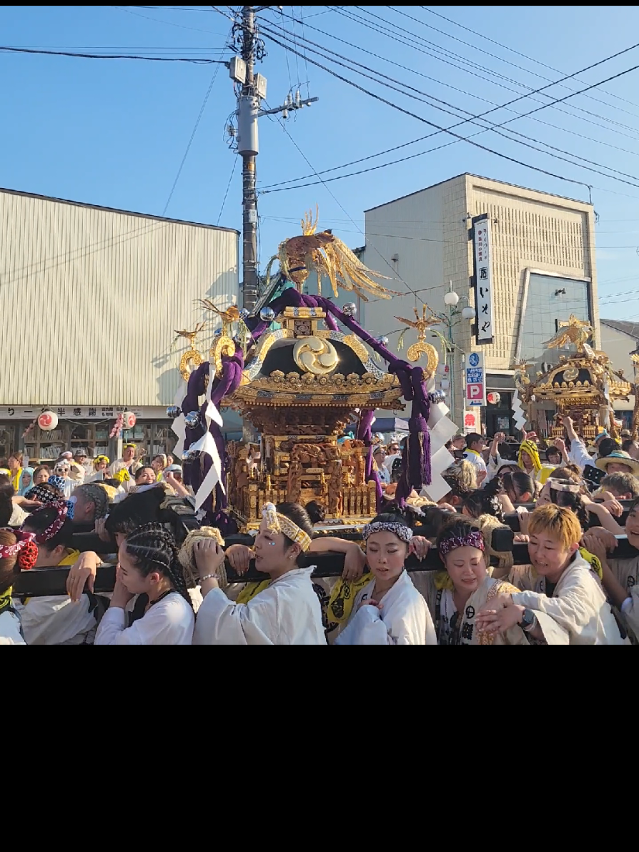 2025年令和7年8月5日 千葉県匝瑳市八日市場 ⛩️八重垣神社⛩️ 🏮祗園祭🏮 田町が一番 よーいよいやぁさっと 灼熱のなか 皆さんお疲れさまでした🙇‍♂️ 今年も最高でした👍 すっとこどっこい きたこらさっと よーいよいやぁさっと ありゃぁどしたぁ #八重垣神社  #祗園祭  #匝瑳市  #八日市場  #田町が一番  #ありゃぁどしたぁ  #昭和100年  #祭 #祭男  #有酸素運動 #神輿  #祭バカ  #いつものポーズ 