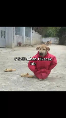 AMA HAYIR YAAA😡😡 NE ÇABUK BİTTİ TATİL😡