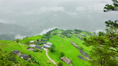 Nói thật là ngồi đây cả ngày không biết chán 😑😑😑😑