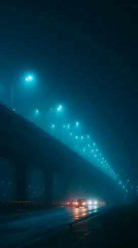 Foggy Overpass #livewallpaper #aestheticwallpaper ##4kwallpaper #naturevibes #phonebackground #moodyvibes #cinematicloop #loop