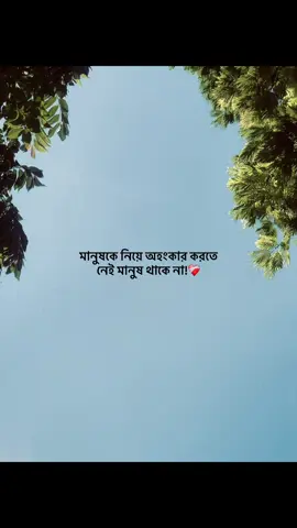 মানুষকে নিয়ে অহংকার করতে নেই মানুষ থাকে না!❤️‍🩹 #foryou #banglacaption #sadcaption #emotionalvideo #fyp 