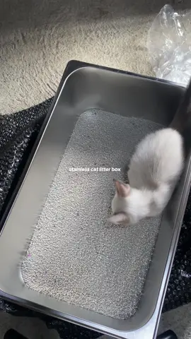 deserve to ng cat mo #fyp #catlitterbox #catlitter #stainlesssteel 