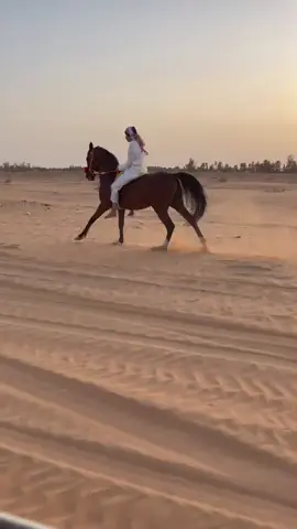 تشغيل البطل سسهم🔥🔥💪🏼.#الخرج #خيل #تشغيل_خيول_السرعه🐴 #ريس #سبوق🏆 #fyg 
