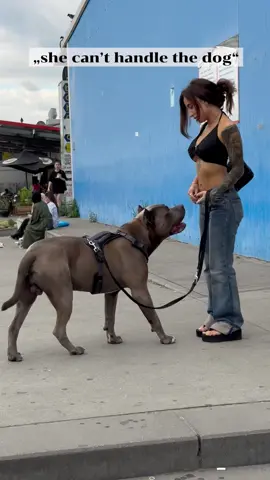 Ich kann manche Kommentare unter den Videos kaum mehr lesen. Ja, auch Frauen können große Hunde halten. Natürlich mache auch ich Fehler, es gibt nicht den perfekten Hundehalter aber ich probiere jeden Tag mein bestes zu geben und meinen Hund zu verstehen, ihn zu sehen und gleichzeitig, ihm in ungewohnten Situationen die Unsicherheiten zu nehmen. Und ich bin stolz darauf, so einen souveränen Jungen zu haben Es gibt übrigens auch Menschen die drei Hunde auf einmal halten, das sind dann schnell mal über 100 kg § und ich finde es sagt so viel aus, dass Menschen denken, sie können einen Hund nur durch ihr Gewicht kontrollieren #dogmom 