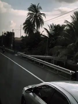 一点阳光怎能盛夏,一点奇爱怎能留 住一个人! 