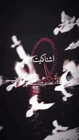 #هولندا🇳🇱_بلجيكا🇧🇪_ألمانيا🇩🇪_سوريا🇸🇾 #اكسبلورexplore❥🕊🦋  