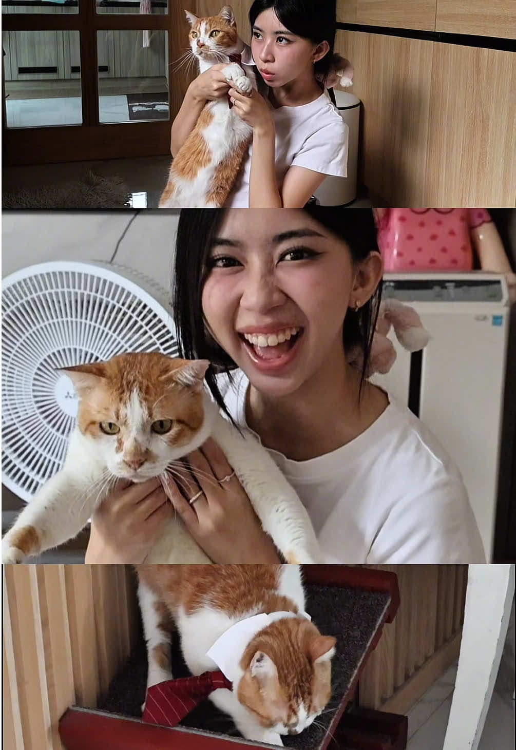 เคล็ดไม่ลับของสายคอนเทนต์อย่างพี่โชค อินฟลูตัวน้อยยยยย📸🙀💕 #ทริชเชียพี่มีโชค#teamCanonTH #goodVibesgoodVideo  #ปังทุกไวบ์ไฮป์ทุกวิดีโอ #EOSR50V
