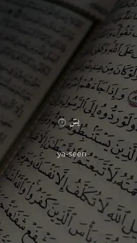 have you ever heard like this voice “now,now,now,now” #quran #QuranDaily #MuslimReminder #quran_alkarim #USA #quranrecitation 