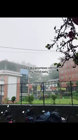 Your fake promises still hit my mind daily.#keepsupporting #fypシ゚ #trending 