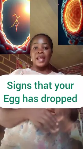 signs that your body is fertile for pregnancy 