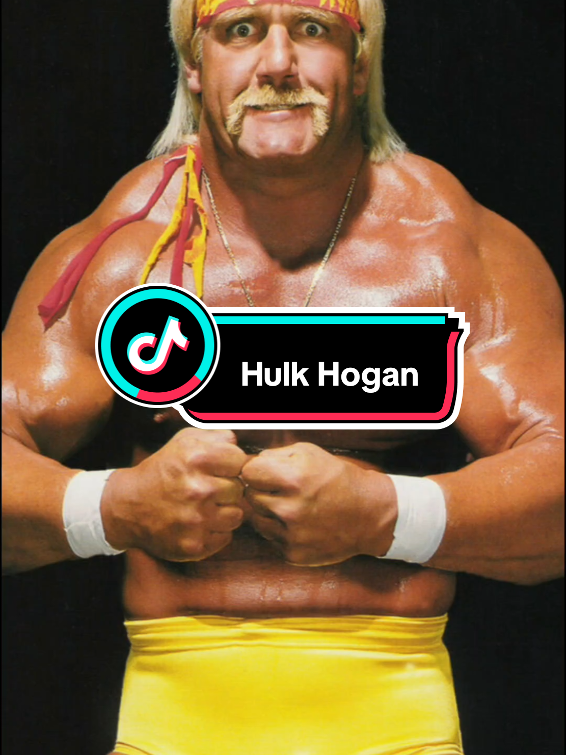 une pensée pour Hulk Hogan qui nous a quitté 