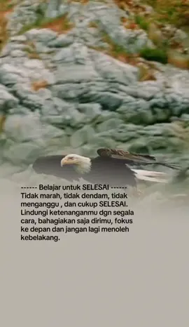 #qotes #foryou #foryoupage #laguviral #CapCut 