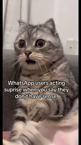 #fyp #relatable #whatsappstatus  #meme 