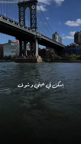 #CapCut #من_بين_الناس_حبيتك #عبدالكريم_عبدالقادر #قطر #السعودية #نيويورك #اكسبلور #tiktoktrending #fyp 