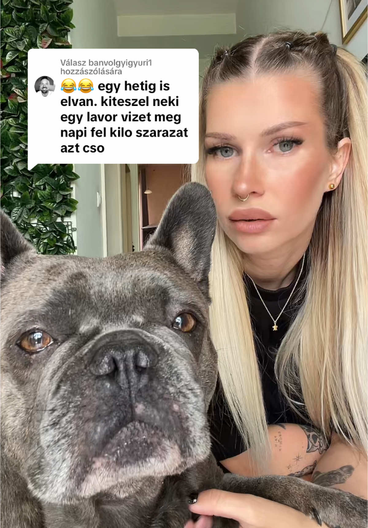 Válasz @banvolgyigyuri1 részére 