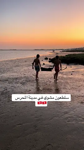 #pourtoii #explore #europe #اكسبلور #تونس🇹🇳 #تونسية🇹🇳🇹🇳 #تونس_المغرب_الجزائر #ليبيا🇱🇾 #طرابلس🇱🇾 #بنغازي_ليبيا🇱🇾 #سرت #قفصة_البية🇹🇳 #فرنسا🇨🇵_بلجيكا🇧🇪_المانيا🇩🇪_اسبانيا🇪🇸 #اوروبا_اسبانيا_ايطاليا_المانيا_هولندا #crabe #سلطعون🦀 #الجزائر🇩🇿 #عنابة #وهران #مراكش #فاس #chef #cheflife 