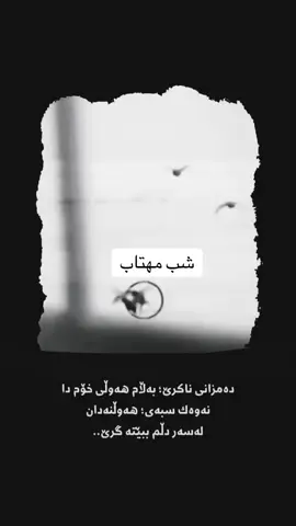 #shabimahtab 