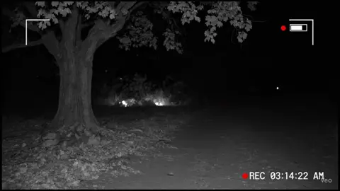 My security cam caught something...unbelievable last night. กล้องวงจรปิดจับภาพที่น่าเหลือเชื่อได้เมื่อคืนนี้... #Mystery #CaughtOnCamera #Unexplained #MindBlown #WatchTillTheEnd #เรื่องลึกลับ #กล้องวงจรปิด #เรื่องแปลก #ทึ่งมาก #ต้องดูให้จบ 