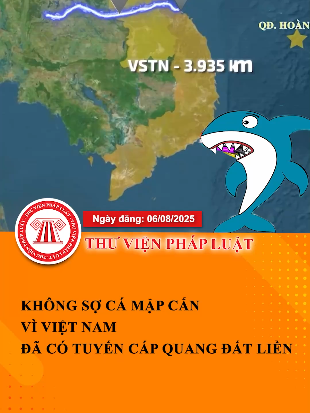 Không sợ “cá mập cắn cáp” vì Việt Nam đã có tuyến cáp quang trên đất liền #LearnOnTikTok #Hoccungtiktok #ThuVienPhapLuat #TVPL