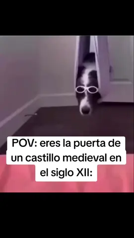 el buen tronco😎 #humor #meme #castillo #parati #viral 