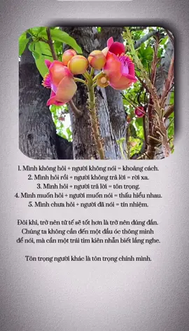 1. Mình không hỏi + người không nói = khoảng cách. 2. Mình hỏi rồi + người không trả lời = rời xa. 3. Mình hỏi + người trả lời = tôn trọng. 4. Mình muốn hỏi + người muốn nói = thấu hiểu nhau. 5. Mình chưa hỏi + người đã nói = tín nhiệm. Đôi khi, trở nên tử tế sẽ tốt hơn là trở nên đúng đắn. Chúng ta không cần đến một đầu óc thông minh để nói, mà cần một trái tim kiên nhẫn biết lắng nghe. Tôn trọng người khác là tôn trọng chính mình.