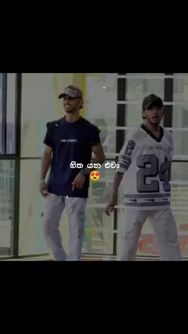 මං දැන් ටොපිම කියක්නම් දුන්නද? 😂🫣 #Hasaabeats#foryou #fyp #fypシ #trending #trend #viral #hornet #hornet250 #250cc #hondahornet #exhaustsound