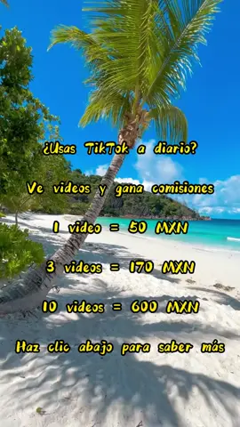 1 video corto = $50 MXN