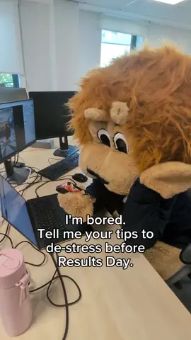 Ok, how do you make it through next week?🦁 #WeAreNCL #ResultsDay #ALevels #Clearing #ALevelResultsDay #NewcastleUni #University 