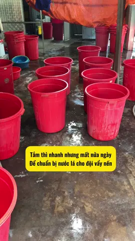 Các bác tắm chỉ mất 1 tiếng nhưng phải mất 12 tiếng để chuẩn bị nước lá @Thị Tuyến DC 35(2) #vẩynến  #viêmdacodia  #viêmnanglông 