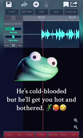 Let’s try this again 🙈🙊🙉 #lizard #lizardmeme #memecut #mashup #remix #capcut #trendingaudio #foryou #fyp 