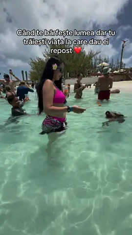 When people gossip about you, but you're living the life they wish and they reposted!#fyp #foryou #viral #trending #foryoupage❤️❤️ #pigsisland #bahamas #swimwithpigs #miami #cruise #summerlooks #gossip #travel #exploringtheworld #momslife #familyholiday #memories #rayanlarisa💕 