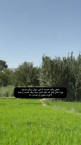 جواب قانع کننده …! #shortsvideo #videoviral #foryou #foryoupage❤️❤️ #ترکمن_اوزبک_تاجیک_پشتو_هزاره🇦🇫🇦🇫 #unfreezemyacount #creatorsearchinsights 