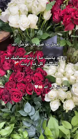 #اللهم آمين يارب 🤲🏻 #عسى_ان_تكرهو_شيأً_فهو_خيراً_لكم ❤️‍🩹🤲🏻