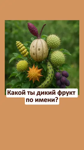 Какой ты дикий фрукт по имени?#тест 