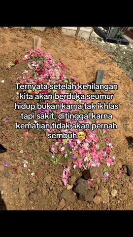 dalam setahun terdapat 12 bulan namun hanya di bulan agustus yang membuatku berduka untuk selama lamanya al-fatihah sayangku semoga tenang bahagia didalam sana 🤲🤍🌹 #fyp #nenek #xybca #alfatihah 