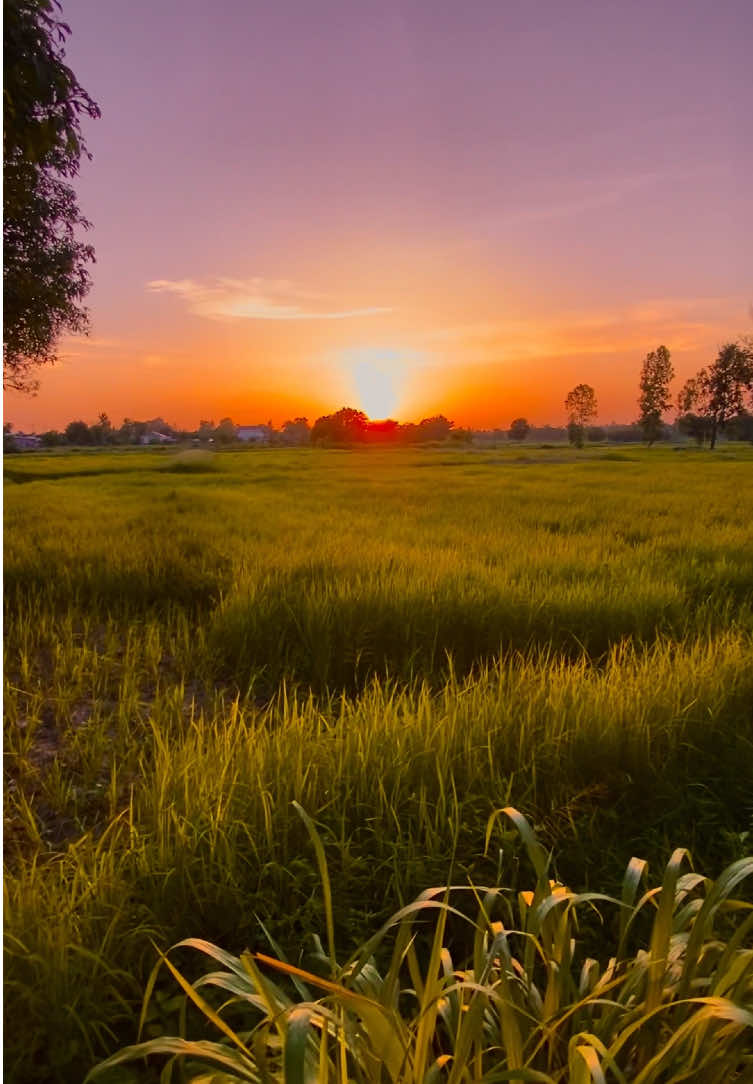 อ้ายกะอยากสิเป็นเศรษฐี.. #รับโปรโมทเพลง #วิวบ้านนอก🍃 #ท้องฟ้า⛅🌈 #สตอรี่ความรู้สึก 