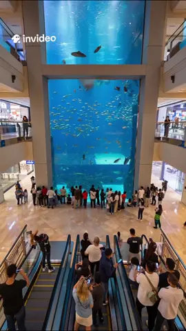 #WaterExplosion #MallAccident #CaughtOnCamera #ShockingMoment #ViralReel #unexpectedmoments #WaterTankBurst 