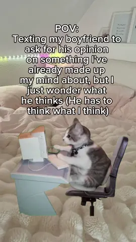 #gf #bf #meme #cat #fyp