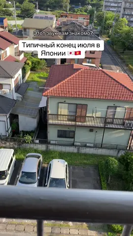 Жизнь в Японии #япония #жизньвяпонии #летовяпонии #аниме #анимезвук #манга 