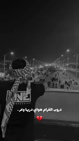 #مشاية_الامام_الحسين #مشايه #مشايه_الأربعين #طريق_الجنة💚 #يا_حسين #قصائد_حسينيه #محمد_باقر_الخاقاني 