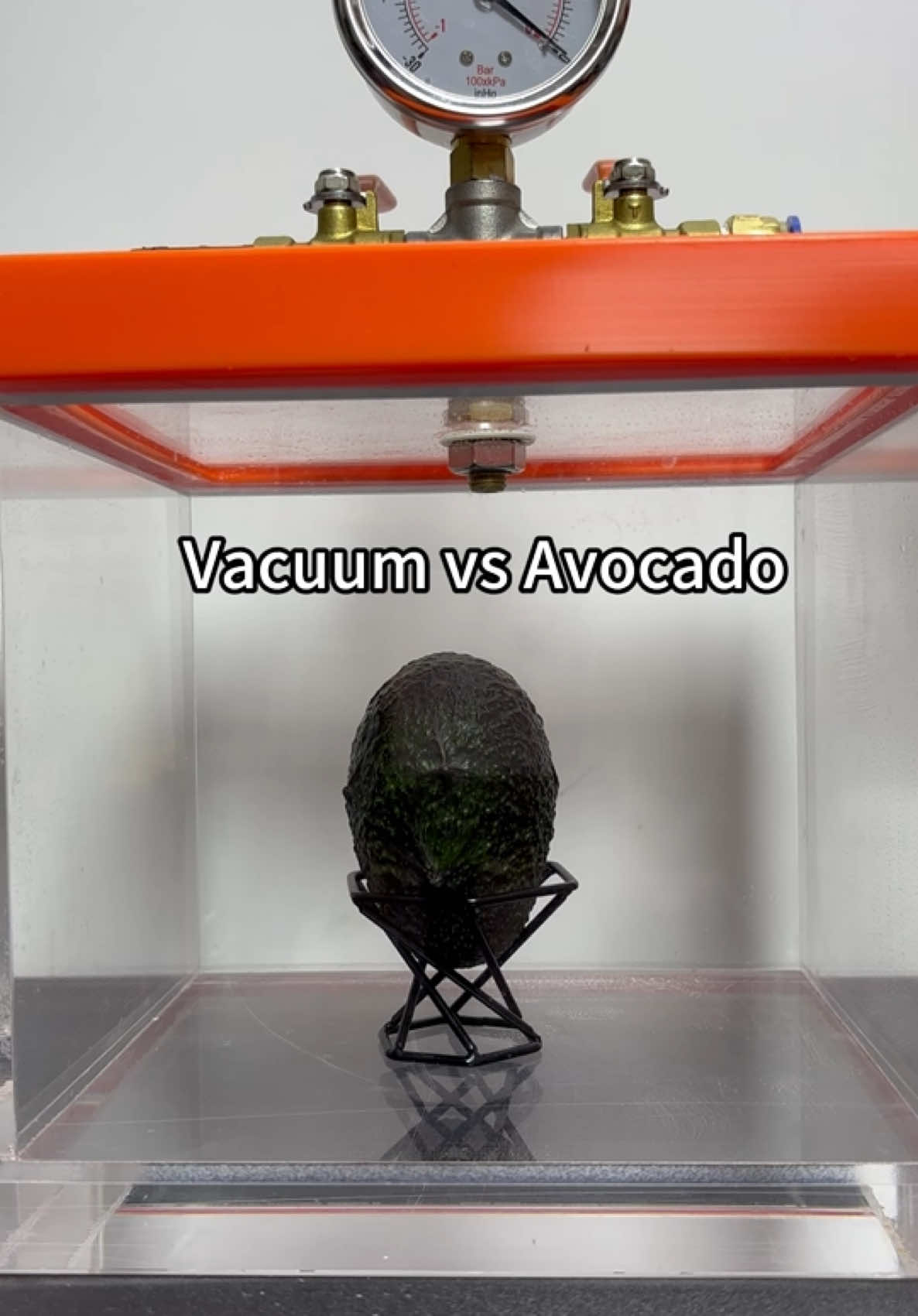 Vacuum vs Avocado,what’s next?